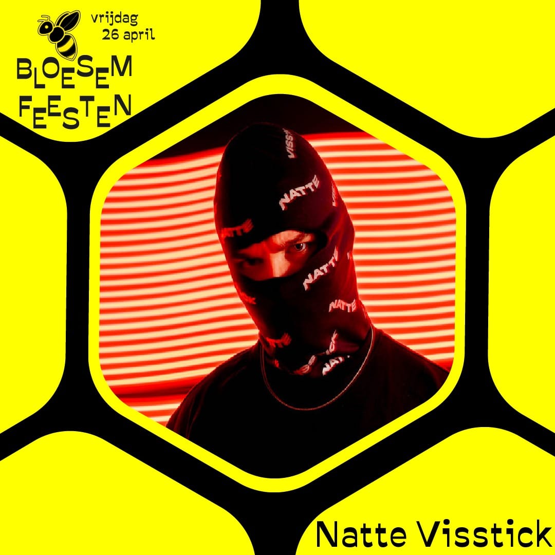 Natte Visstick